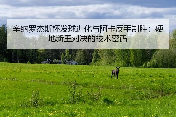 xin-na-luo-jie-si-bei-fa-qiu-jin-hua-yu-a-ka-fan-shou-zhi-sheng-ying-di-xin-wang-dui-jue-de-ji-shu-mi-ma-2-615.jpg