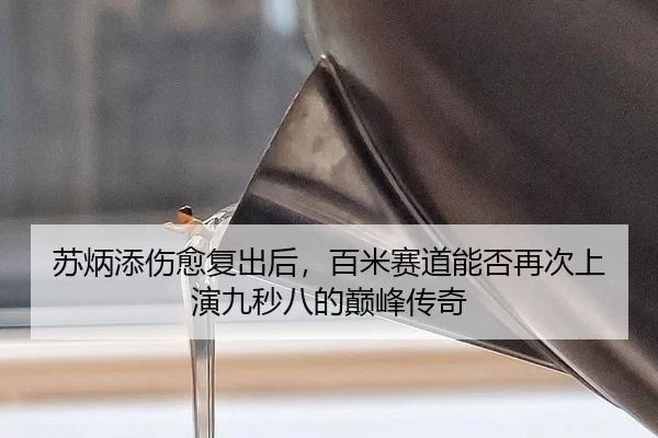 su-bing-tian-shang-yu-fu-chu-hou-bai-mi-sai-dao-neng-fou-zai-ci-shang-yan-jiu-miao-ba-de-dian-feng-chuan-qi-3-434.jpg
